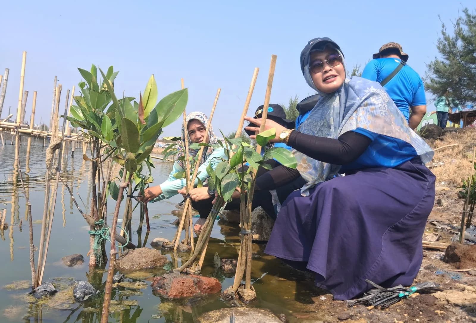 Warga Tambaklorok Mulai Naik Kelas, Bangun Ekonomi dari Potensi Pesisir