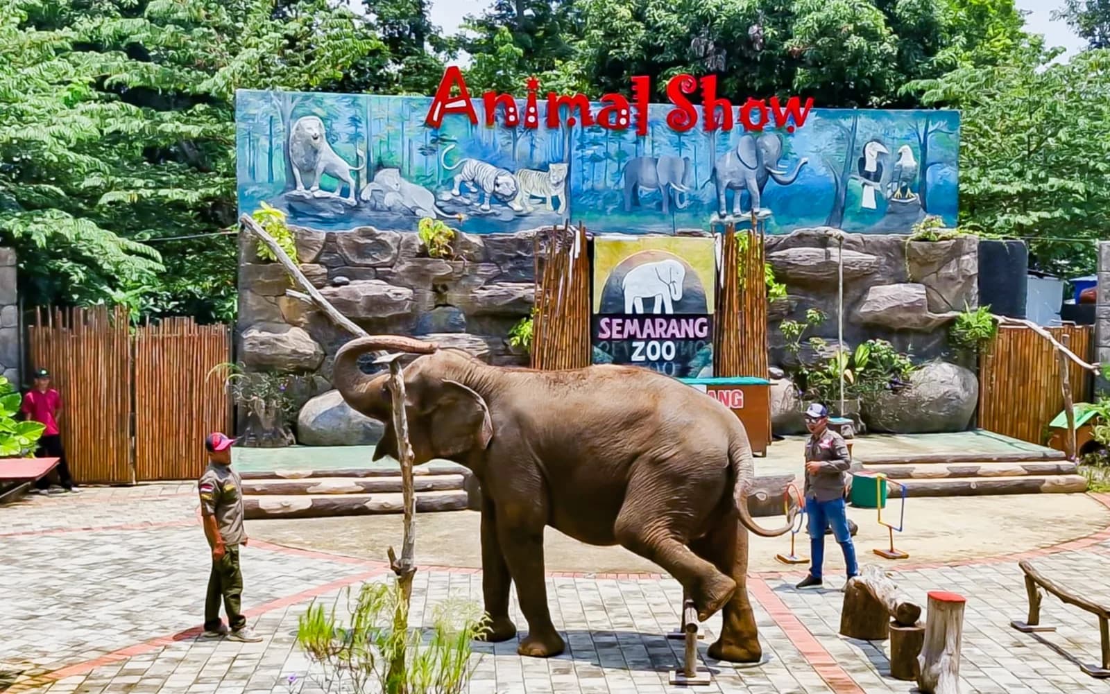 Cuaca Semarang Makin Panas, Begini Cara Semarang Zoo Lindungi Satwa