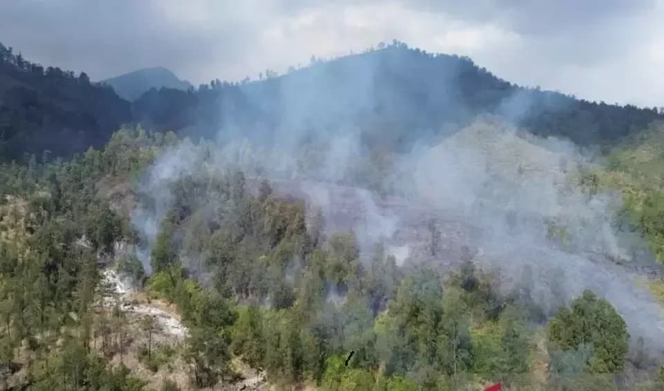 Banyuwangi Tetapkan Status Darurat Tangani Kebakaran Kawah Ijen Meluas