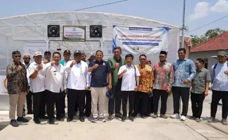 Rumput Laut Brebes Tak Lagi Andalkan Jemur Manual, UNDIP Bawa Teknologi Surya-Biomassa