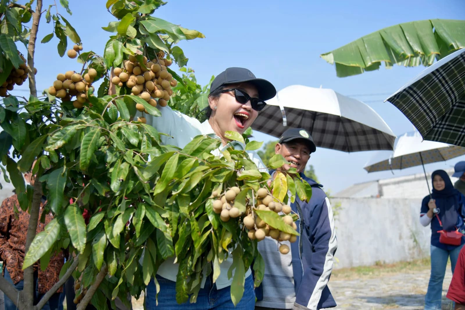 Agustina Resmikan Agro Eduwisata Masjid Agung Semarang